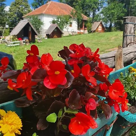 Casa de hóspedes Etno Domacinstvo Saponjic