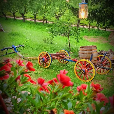 Guest house Etno Domacinstvo Saponjic Nova Varos