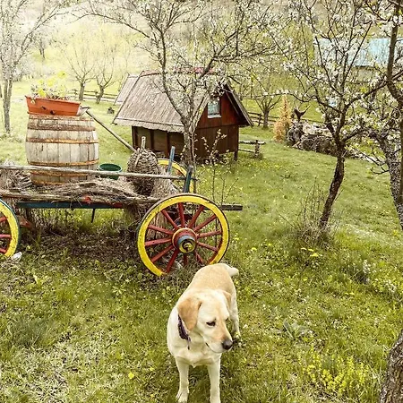 Etno Domacinstvo Saponjic