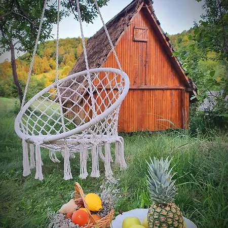 Casa de hóspedes Etno Domacinstvo Saponjic *