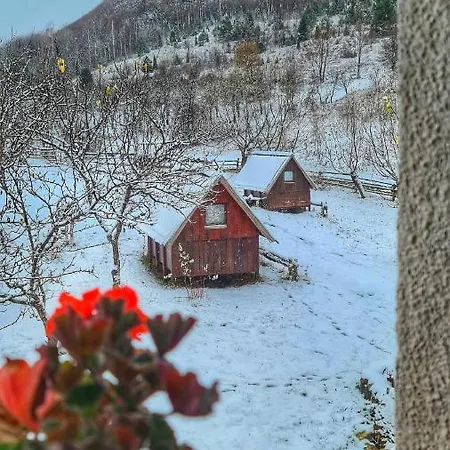 Etno Domacinstvo Saponjic Guest house Nova Varos