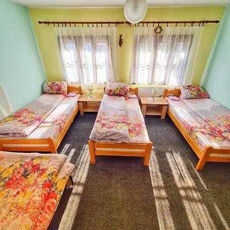 Guest house Etno Domacinstvo Saponjic Nova Varos