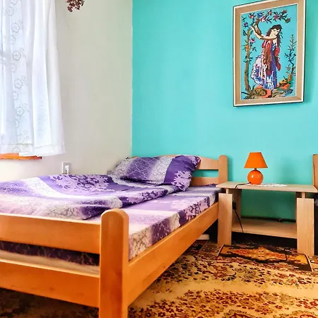 Etno Domacinstvo Saponjic Guest house Nova Varos