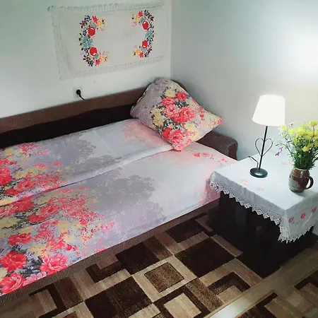 Etno Domacinstvo Saponjic Guest house *