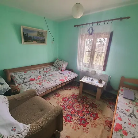 Etno Domacinstvo Saponjic Guest house *