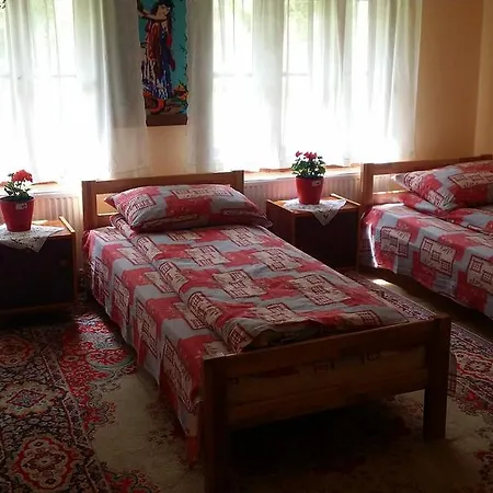 Etno Domacinstvo Saponjic Nova Varos