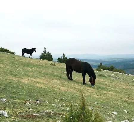 Guest house Etno Domacinstvo Saponjic Nova Varos