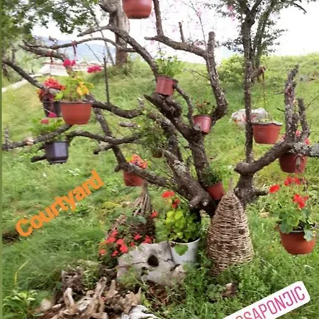 Casa de hóspedes Etno Domacinstvo Saponjic *