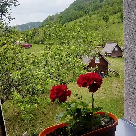 Etno Domacinstvo Saponjic Guest house Nova Varos