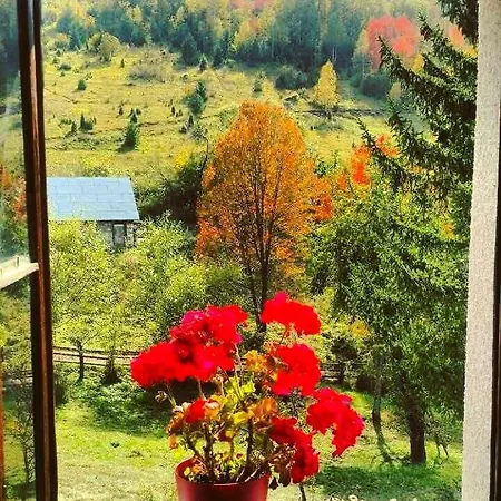 Casa de hóspedes Etno Domacinstvo Saponjic