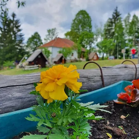 Etno Domacinstvo Saponjic Guest house Nova Varos
